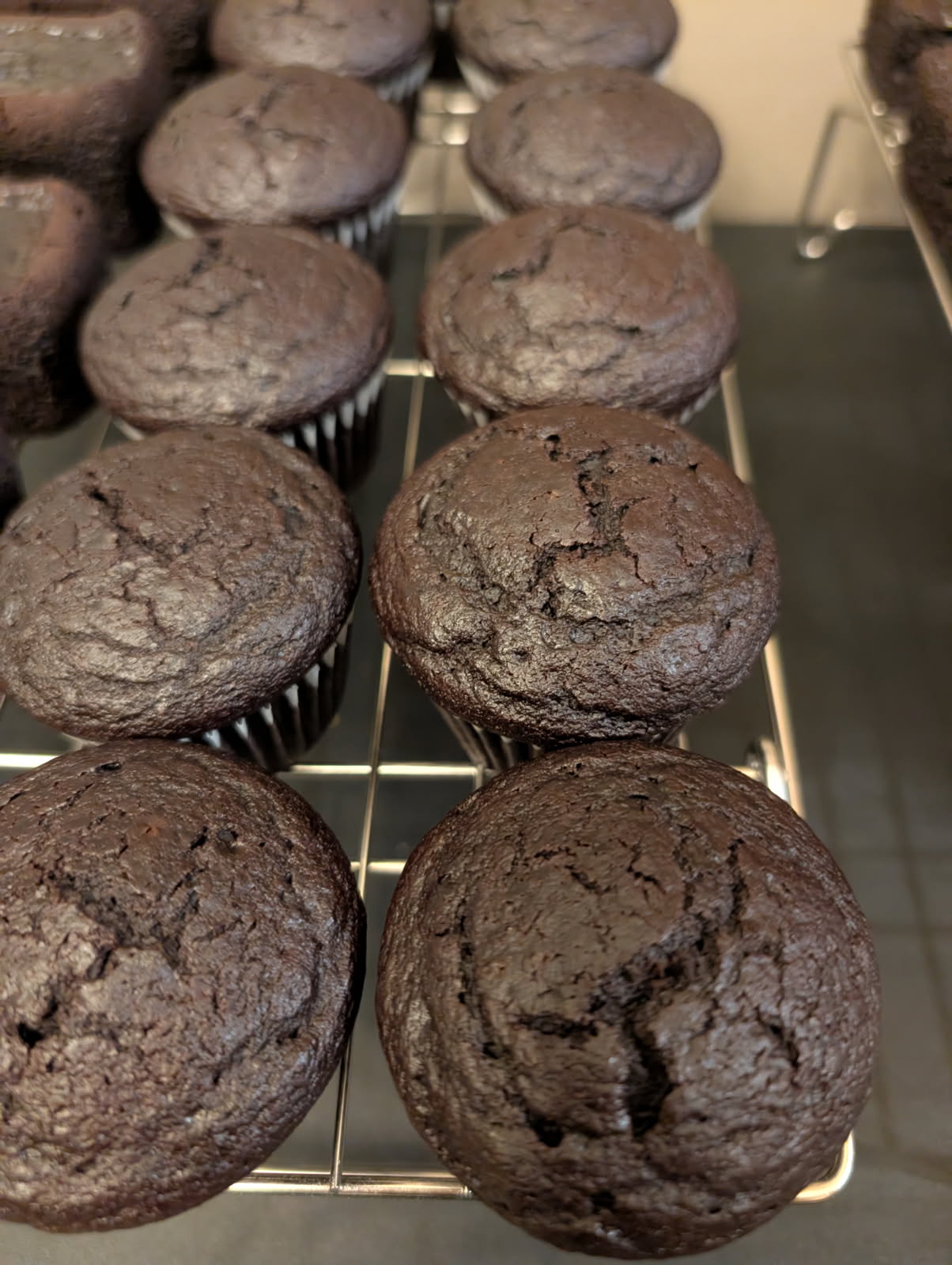 Chocolate Cupcakes No Icing
